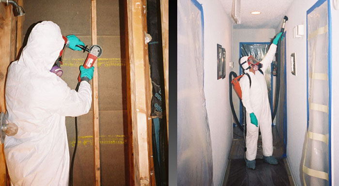 How much does a mold remediation cost?