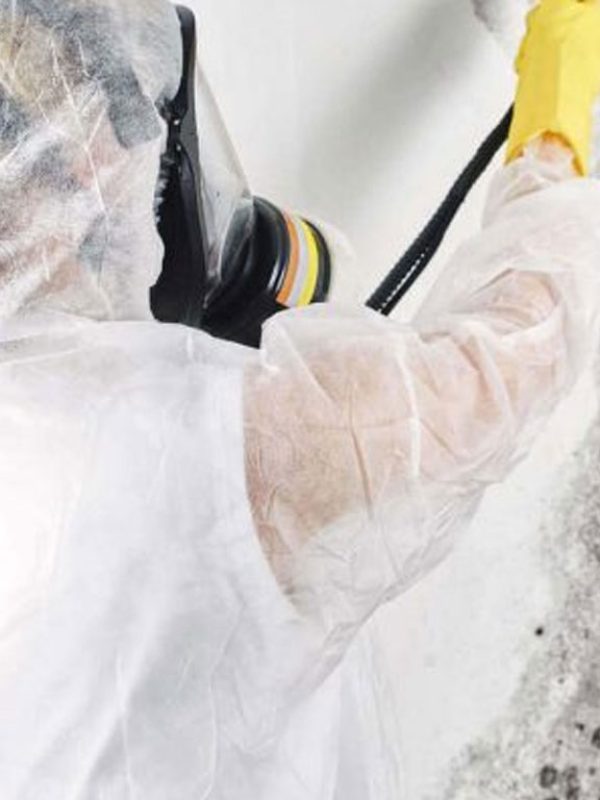 technician taping a wall during mold control
