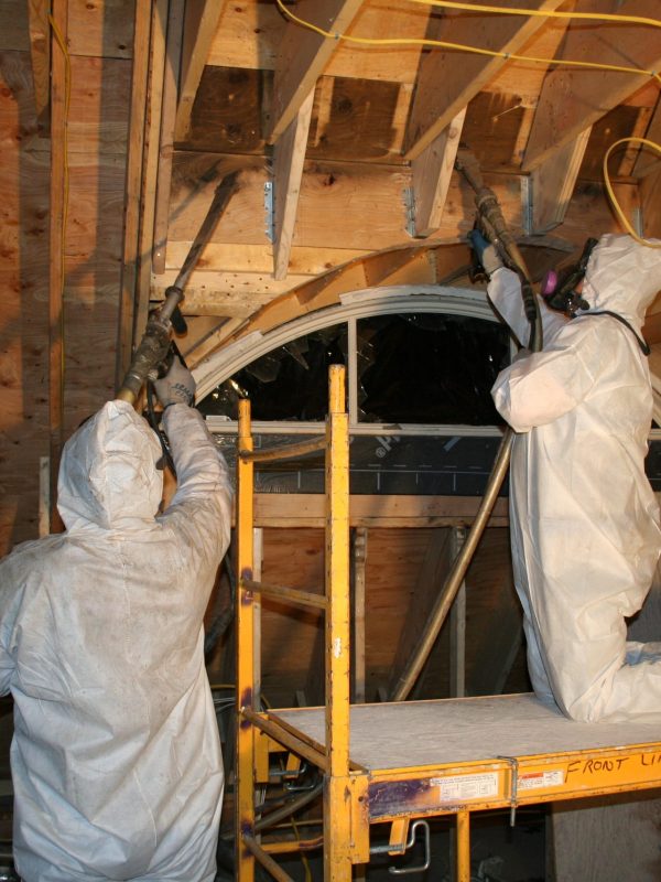 technicians removing mold in attic